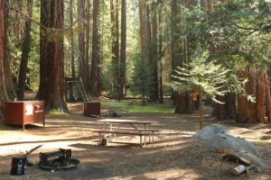 Emplacement de camping dans un parc national aux Etats Unis