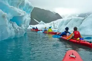 des kayaks s'aventurent au milieu des icebergs